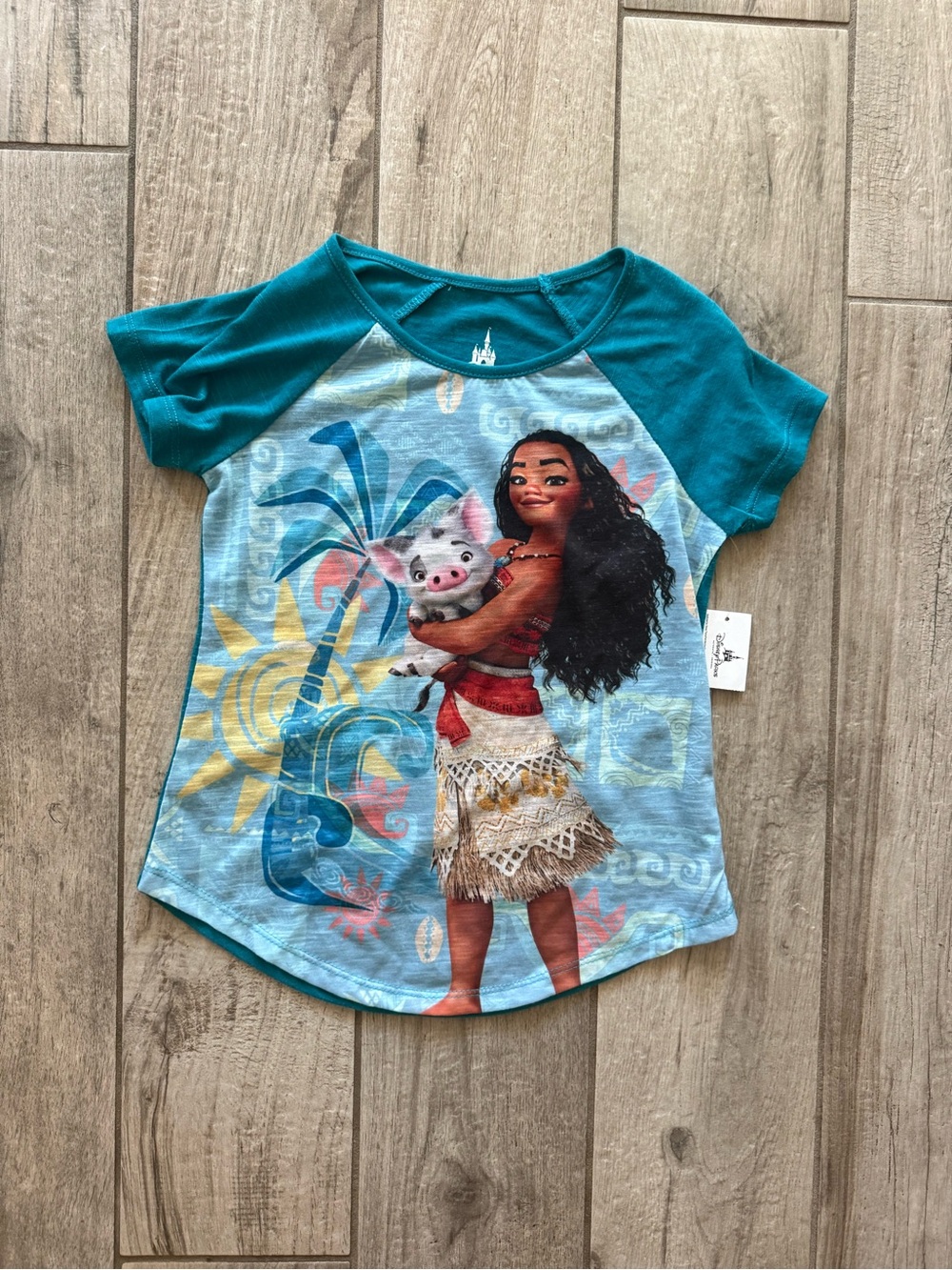 Disney Girls Moana & Pua Short Sleeve Tee in Teal and Light Blue
